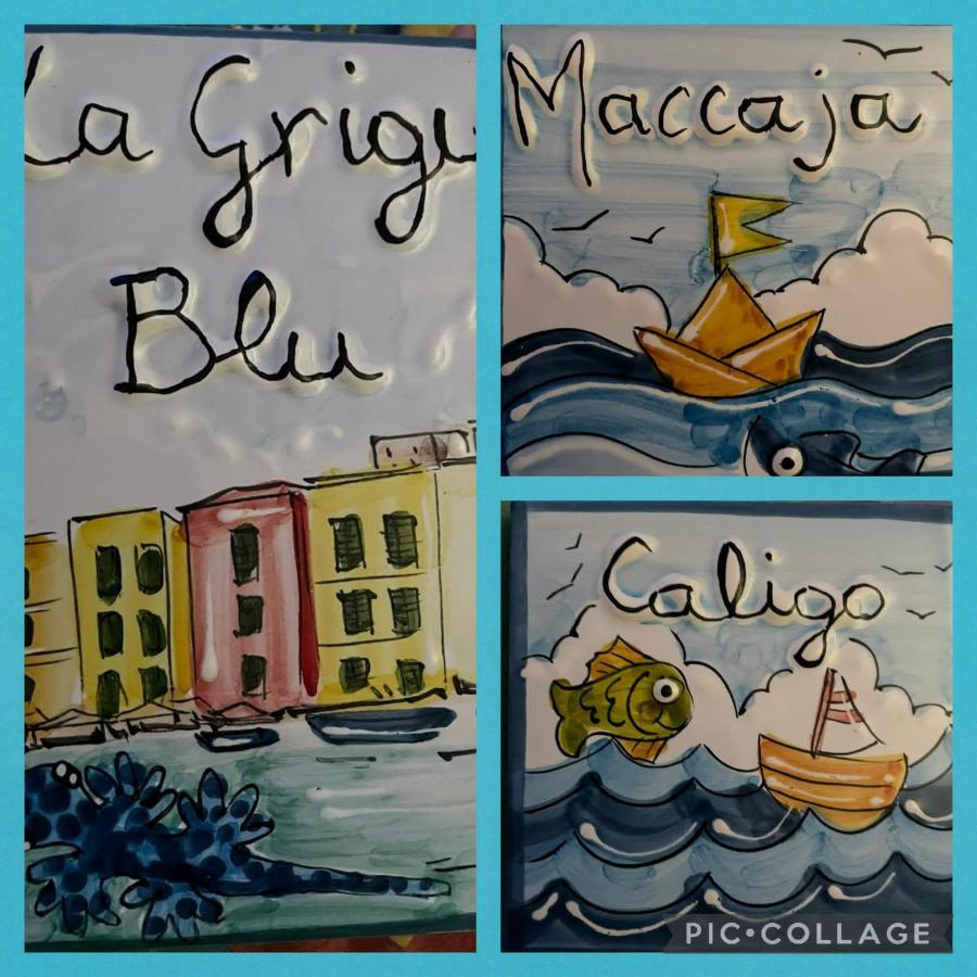 La Grigua Blu Apartamento Riomaggiore Exterior foto